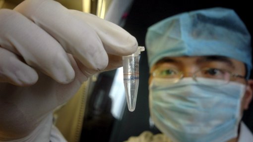 Covid-19: Cientistas trabalham em 20 vacinas e 30 potenciais medicamentos
