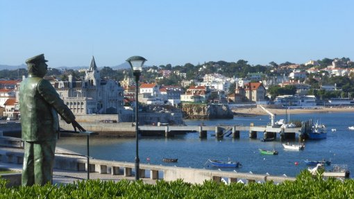 Covid-19: Cascais recebeu mais sete toneladas de material de proteção individual