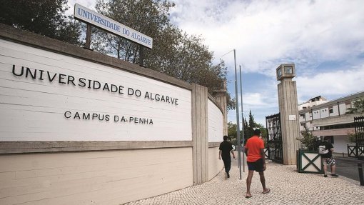 Covid-19: Universidade do Algarve inicia análises para despistagem do novo coronavírus