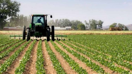 Covid-19: Ministério da Agricultura com 1.ª versão de Plano de Medidas Excecionais