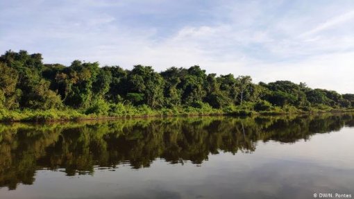 Covid-19: Indígenas da Amazónia pedem aos governos medidas de proteção urgentes