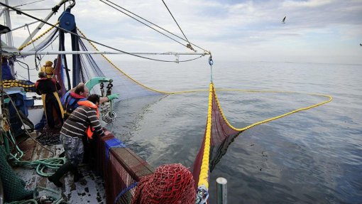 Covid-19: Bruxelas propõe medidas para ajudar setores das pescas e aquicultura