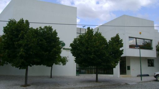 Covid-19: Biblioteca de Proença-a-Nova faz entrega de livros ao domicílio