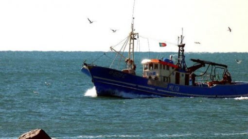 Covid-19: Embarcações de pesca de São Miguel só podem acostar ou descarregar no porto de armamento