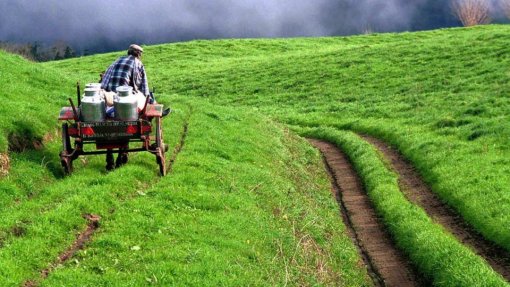 Covid-19: Açores cancelam eventos relacionados com a agricultura