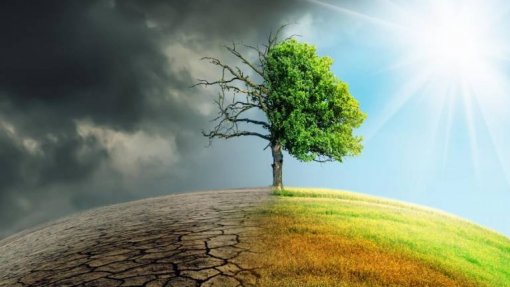 Covid-19: Menos emissões não isentam luta contra alterações climáticas - Organização Meteorológica