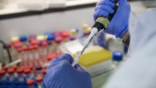 Covid-19: Cientistas do Instituto Gulbenkian de Ciência ajudam equipas dos laboratórios hospitalares