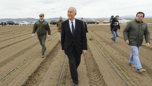 Covid-19: Marcelo visitou produção de tomate para mostrar &quot;país que está a produzir&quot;