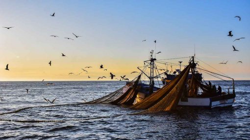 Covid-19: Governo aprova criação de linha de crédito para pesca
