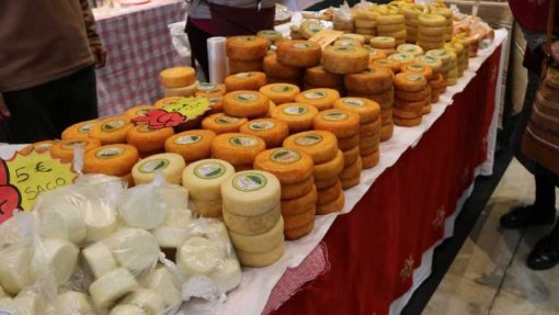 Covid-19: Feira do Queijo DOP na Internet quer ajudar produtores a escoar a produção