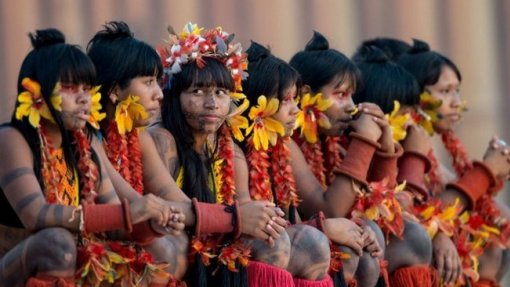 Covid-19: Governo do Brasil lança plano para prevenir infeção em povos indígenas