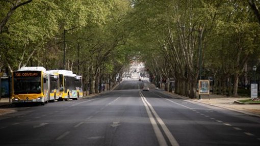 Covid-19: Avenida da Liberdade com a menor taxa média de dióxido de azoto do século