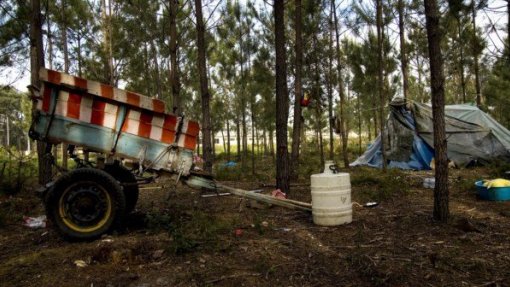 Covid-19: Governo toma medidas de apoio à comunidade cigana em bairro de Moura