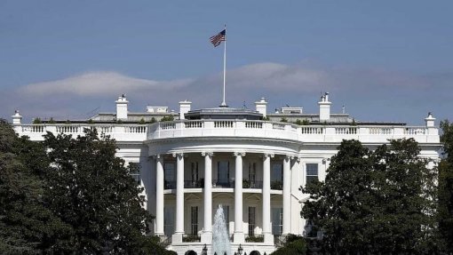 Covid-19: Casa Branca nega intenção de despedir líder da equipa de crise