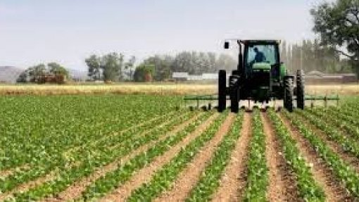 MIRANDELA: Facilitada venda de produtos agrícolas ‘online’
