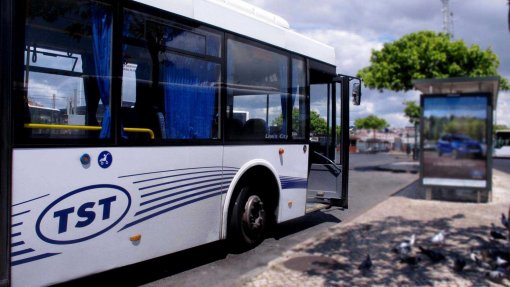 Covid-19: TST suspende carreiras para “manter sustentabilidade”