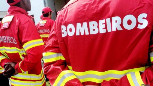Covid-19: Corporações de bombeiros de Viseu com quebras de 70% nas receitas