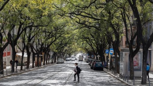 Covid-19: Decreto do PR admite restrições por grupos etários ou locais de residência