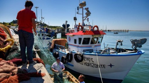 Covid-19: Governo da Madeira aprova apoio de 1,25ME ao setor das pescas