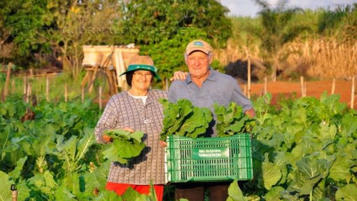 Covid-19: Confederações avaliam ajudas do Governo e pedem apoios para agricultura familiar