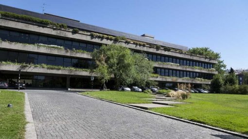 Covid-19: Iniciativa Gulbenkian Soluções Digitais financia 19 projetos com 200 mil euros