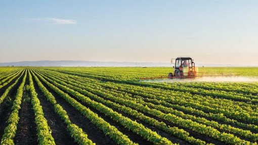Covid-19: Medidas excecionais de Bruxelas para agricultura não respondem em pleno a alguns setores - Governo