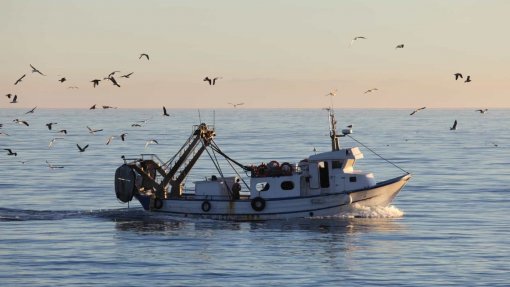 Covid-19: Pescadores de Matosinhos com teste negativo já voltaram ao mar