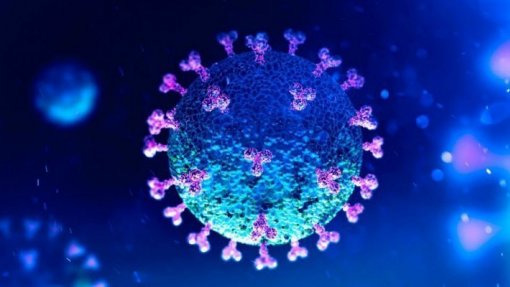 Covid-19: Investigadores do Porto estudam mutações e transmissão do novo coronavírus