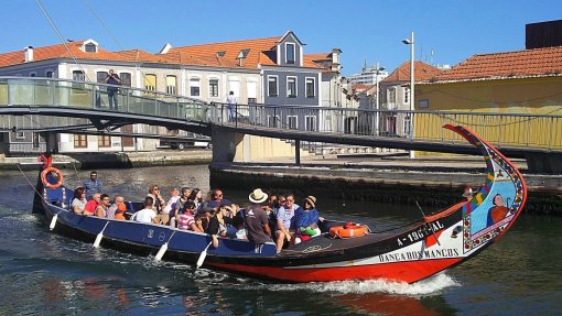 Covid-19: Operadores marítimo-turísticos em Aveiro dizem que o ano está perdido