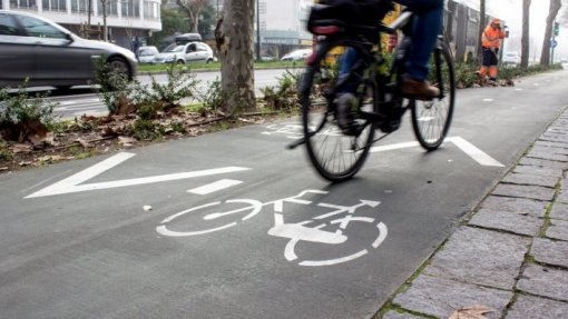 Covid-19: Associação apresenta plano ao Governo para apoiar uso da bicicleta