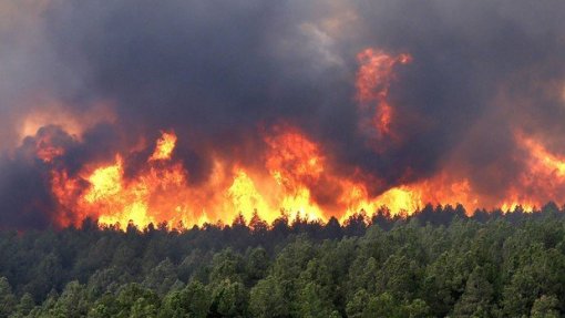 Covid-19: Movimento contabiliza 100 famílias lesadas pelos fogos sem proteção