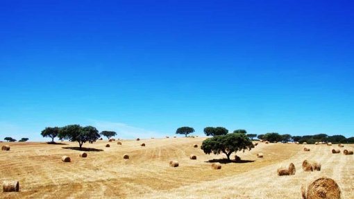 Grupo espanhol Acciona vence concurso para novo Hospital Central do Alentejo