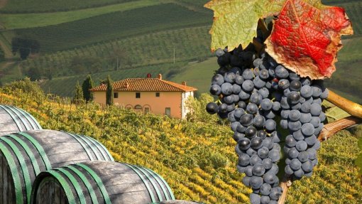 Covid-19: Bruxelas anuncia medidas de apoio ao setor do vinho