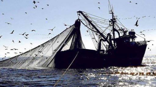 Covid-19: Governo aprova apoio extraordinário para a pesca
