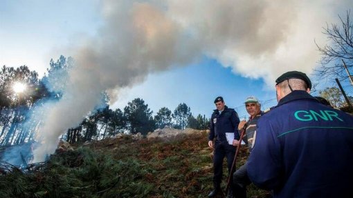 Incêndios: GNR começa a multar incumprimentos na limpeza da floresta com coimas até 120 mil euros