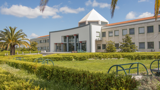 Covid-19: Politécnico de Castelo Branco retomou atividades presenciais com restrições