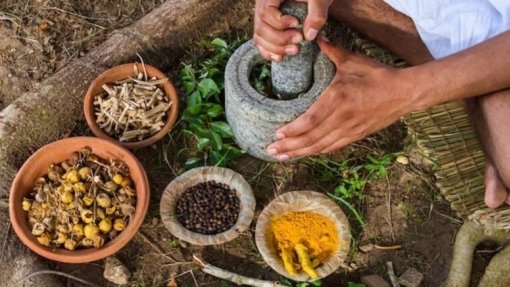 Covid-19: Medicina tradicional deve ser envolvida na busca de solução - Antropólogo guineense