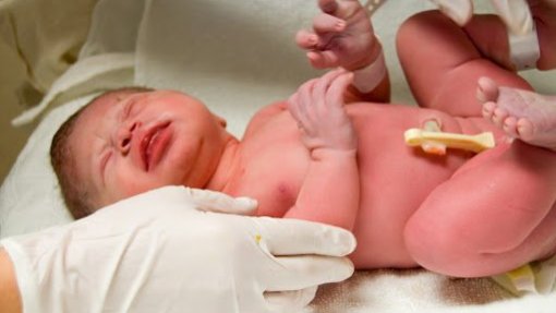 Covid-19: Recém-nascidos de mães infetadas devem ser testados nas primeiras 24 horas