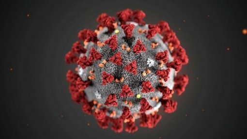 Covid-19: Vírus já matou quase 330 mil pessoas e infetou mais de cinco milhões no mundo