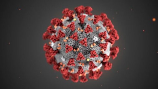 Covid-19: Mais de 350 mil mortos e mais de 5,6 milhões de infetados em todo mundo