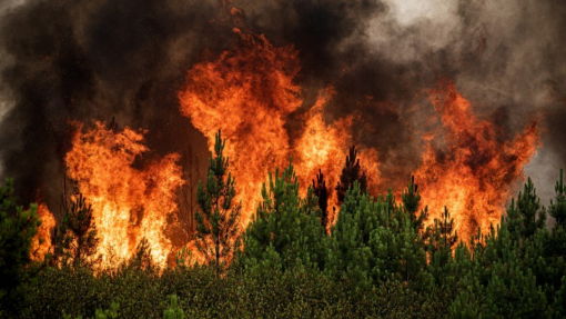 Incêndios: Catorze concelhos de Portugal continental em risco muito elevado