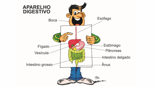“Portugueses são dos povos do mundo que mais têm cancro do estômago” – Rui Tato Marinho