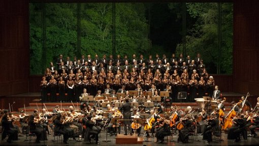 Orquestra Gulbenkian regressa aos ensaios e atuações, mas ainda sem público