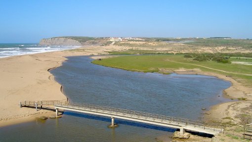 Covid-19: Torres Vedras com dúvidas quanto à lotação da praia da Foz do Sizandro