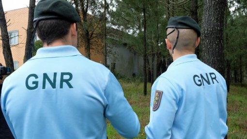 GNR vai fiscalizar explorações agrícolas para prevenir tráfico humano