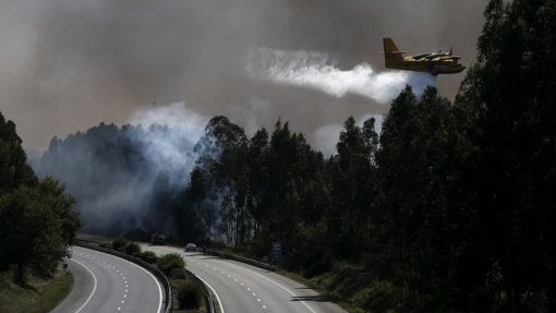 Incêndios: Todos os 60 meios aéreos disponíveis, anuncia governo