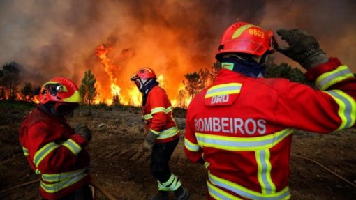 Incêndios: Liga diz que equipamentos de combate ainda não chegaram, ministro refuta