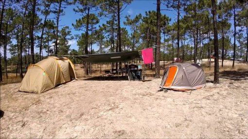 Covid-19: Festa em parque de campismo de Grândola na origem de surto com 20 infetados