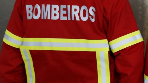 Covid-19: Bombeiros das 19 freguesias da AML vão realizar testes de diagnóstico