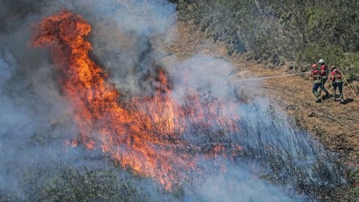 Incêndios: Catorze concelhos de quatro distritos em risco máximo